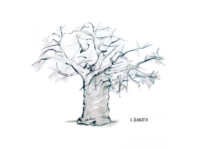 "Árboles de la Casa del Bosque"