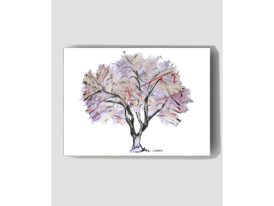 "Jacarandá"