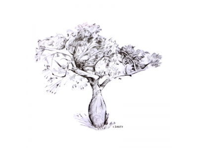 "Árboles del BosqueXXY"