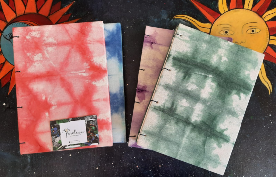 Cuadernos Vasalissa