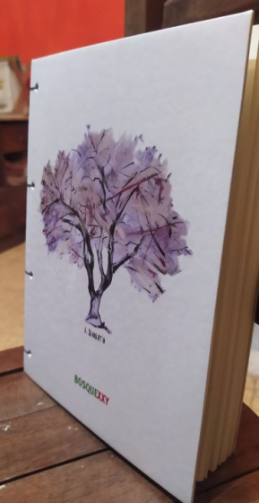 Cuadernos Vasalissa - BosqueXXY