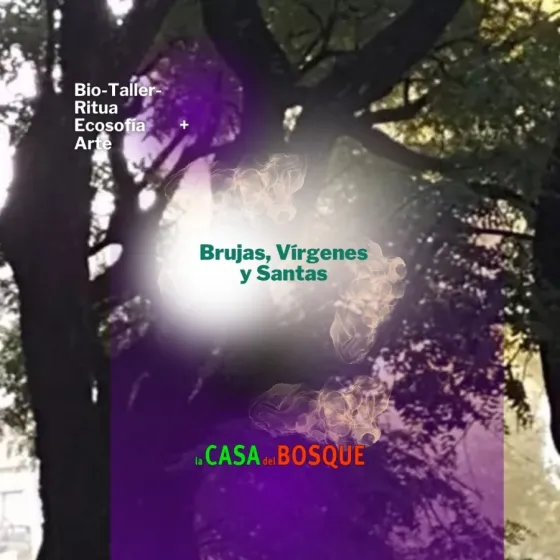 De Brujas, V&iacute;rgenes y Santas/ Trini Rodr&iacute;guez Grau