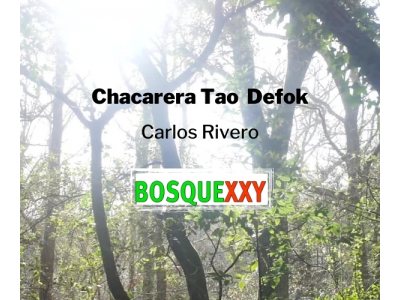 ChaCaReRa Tao de Carlos Rivero