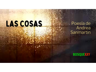 "Las cosas"- poes&iacute;a y po&eacute;tica de nuestro Bosque