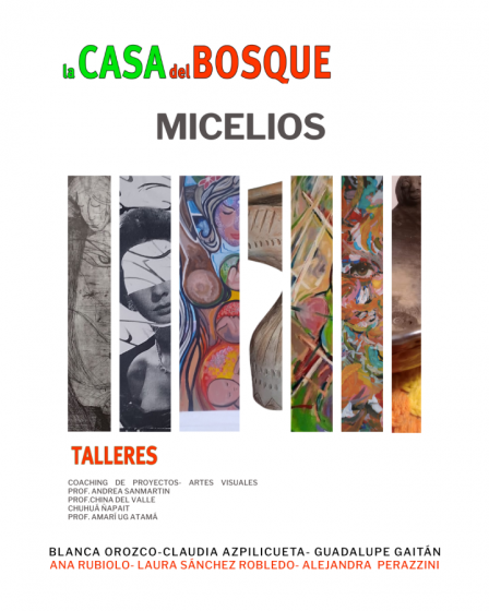 Micelio
