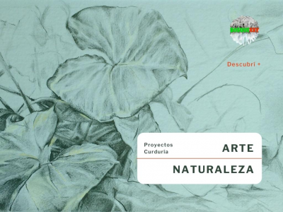 Marco de los Proyectos BosqueXXY = ARTES + NATURALEZA